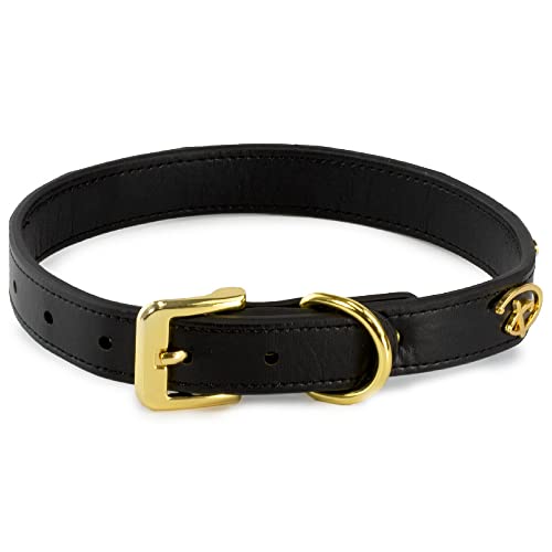 Buckle-Down Dog Collar, Disney, Signature D Logo Charms, Extra Small 6 to 9 Inch Length 0.38 Inches Wide
