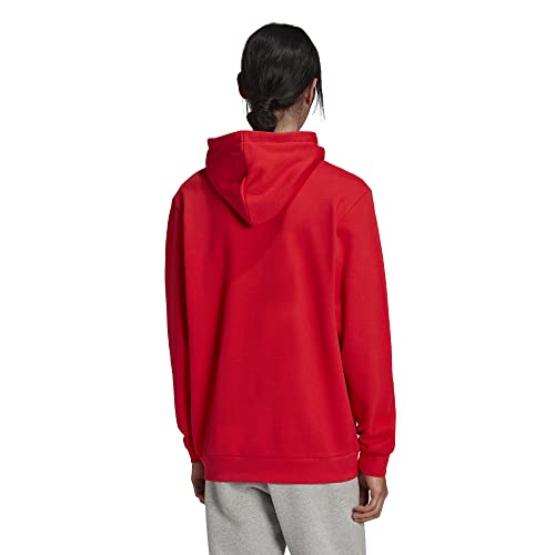 adidas Originals Men's Adicolor Classics Trefoil Hoodie4