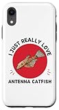 Antenna Catfish I Just Really Love Antenna Catfish
