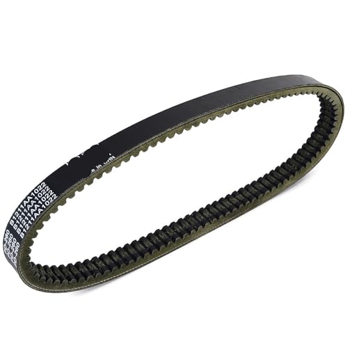 Courroie distribution B1211AA1022 anti-rupture pour transmission Chatenet 325 Ld et Bingo