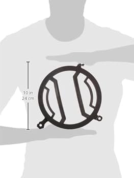 Amazon.com: Rugged Ridge 11230.21 Elite Euro Guard Kit, Headlight