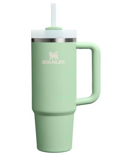 Stanley Quencher H2.0 Tumbler with Handle and Straw 30 oz | Flowstate 3-Position Lid | Cup Holder Compatible for Travel | Insulated Stainless Steel Cup | BPA-Free | Pistachio