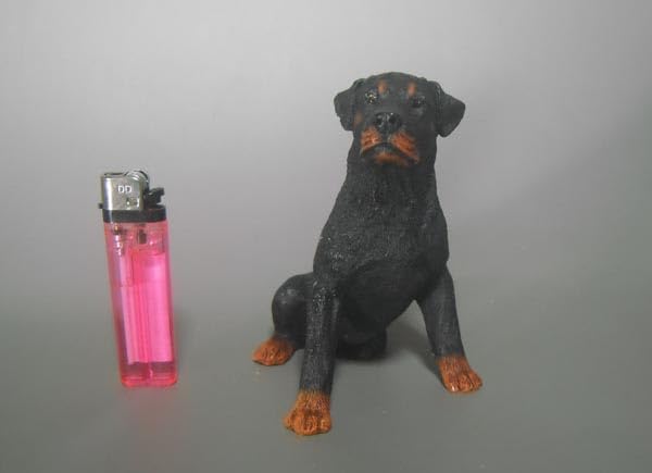 Amazon.co.jp: 蚤の市z ロットワイラー 犬 置物 フィギュリン