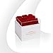 Perfectione Roses Preserved Flowers in a Box