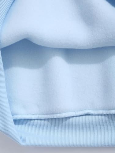 ZAFUL Men's Letters Embroidered Raglan Sleeve Quarter Zip Fleece Vintage Pullover Sweatshirt4