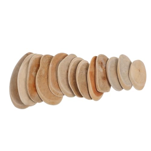 BinZyronic Y ԕrpVRXCX EGfBO DIYNtg ACeA oXAW Rfނ݂̉̂fBXvC (8.50X4.50X0.50CM)