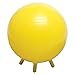 Champion Barbell Stability Ball with Feet, 65cm