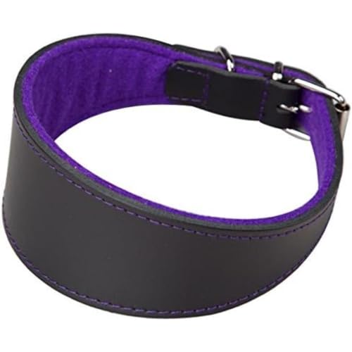 Arppe 2154014511 Superfelt Lederhalsband für Windhunde, Schwarz und Violett