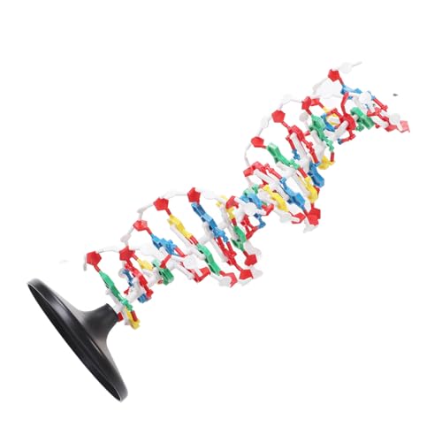 DNA Structure Model Plastic Educational DNA Double Helix Model Teaching Equipment