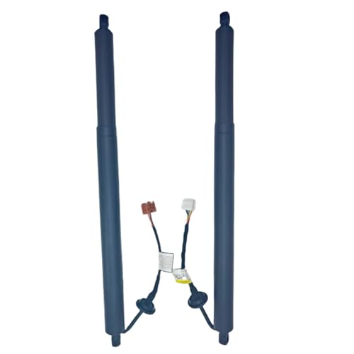 Support hayon électrique 905606Rs0B contre les pannes de coffre X-Trail