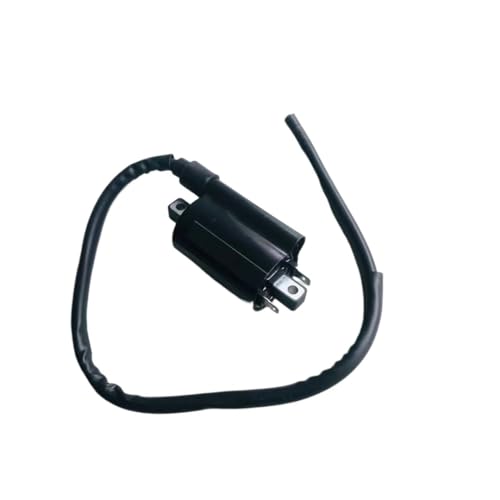 Bobine d'allumage pour VTT et moto 150cc pour explorer les chemins de rando