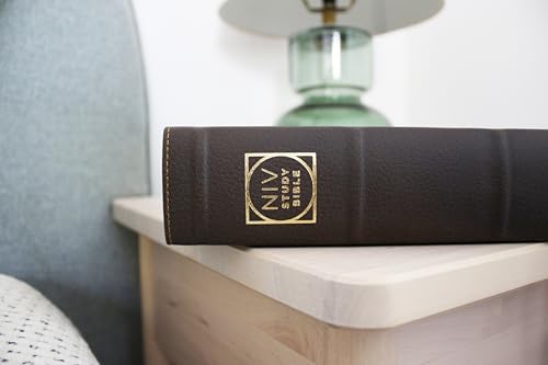 NIV Study Bible Calfskin Brown