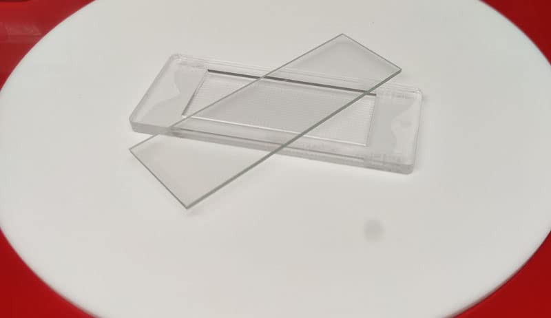 Sedgewick Rafter Counting Chamber | Sedgwick Chamber