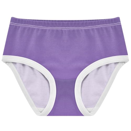 Joisal Colorful Toddlers Underwear Floral 2t Cotton Cute Panties Girl Violet Amethyst Gradient Ombre Undies Kids Briefs