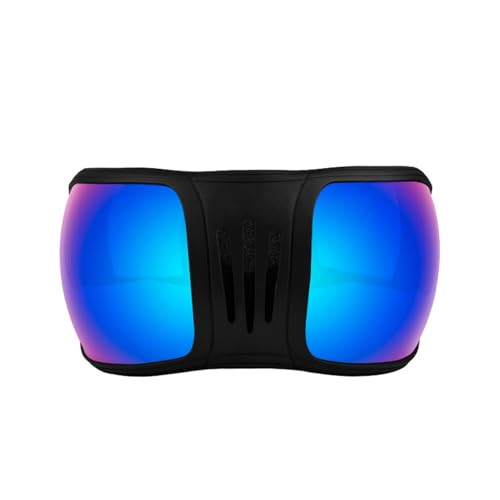 Lunettes de soleil pour animaux de compagnie sangle réglable facile à porter