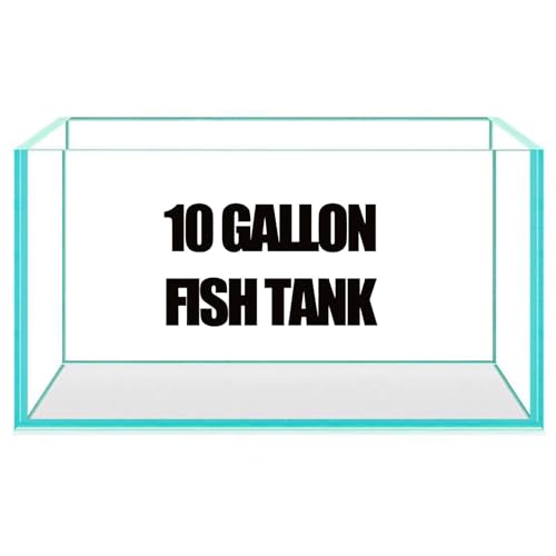 AQUA DAREN 10 Gallon Rimless Aquarium Fish Tank Ultra-Clear Nano Glass Rectangular Fish Tank L17.7W11H11.8 Thickness 6mm Glass Aquarium (M 10 Gallons)