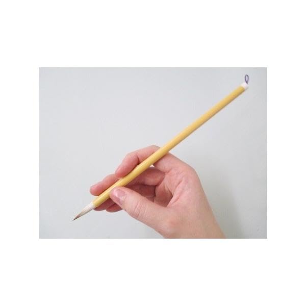 Amazon.co.jp: 一休園 小筆 二号 浮草 5本セット 細筆1本