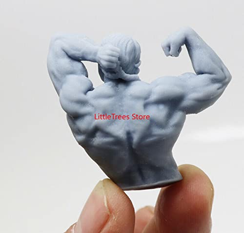 Impression 3D Figure Arnold Bodybuilding 60mm Sculpture Résine Modèle Réduit