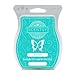 Scentsy Multi-Pack - Mochadoodle, by The Sea, Camu Camu