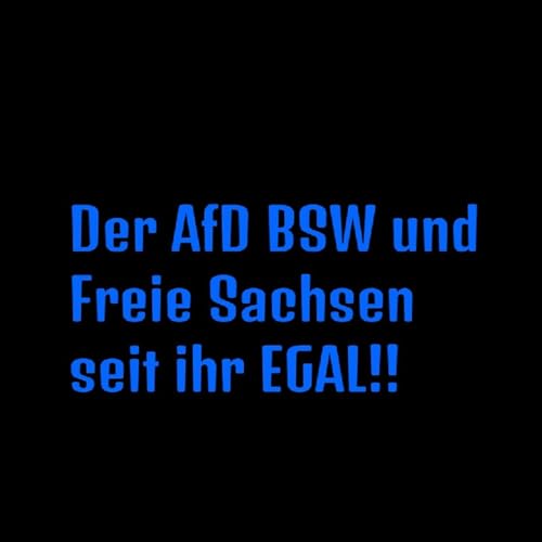 Ursache und Wirkung der AfD