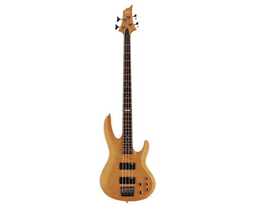 エレキベース レッド 24フレット LTD B-154DX ESP LTD B-154DX Bass Guitar See-Thru Red | Musician's Friend