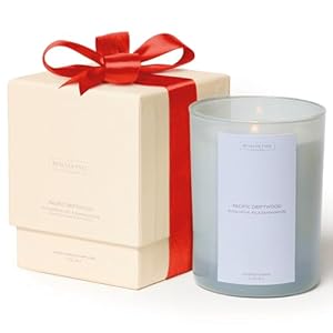 Benevolence LA Scented Candles – Eucalyptus & Sandalwood Scented Candle for Home | 11oz, 60-Hour Burn | Natural Wax, Cotton Wick | Sun-Kissed Collection