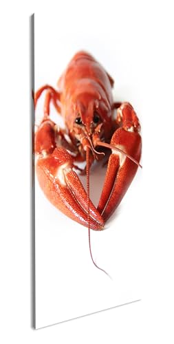 schwedische rote Krebse Panorama 120x60 cm als Leinwandbild, Motiv fertig gerahmt auf Echtholzrahmen, Hochwertiger Digitaldruck mit Rahmen