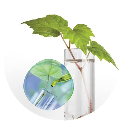 Emmediciotto STEAM-C Fortify Hair Loss Preventive Shampoo 8.45 oz | 250ml Dermo-cosmetic preventive shampoo adjuvant of anti hair loss treatment