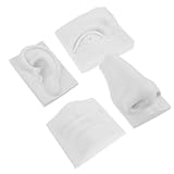 FIXOSHEE Gips skulpturen Gesichtszügen Gypsummodell für Zeichenübungen Präzise Augen Nase Mund Stabile Zeichenskulptur für Kunststudium und Skizzieren