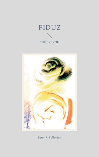 FIDUZ: Sollbruchstelle (German Edition) - Pollmann, Peter R.