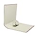 BANTEX 400044101 Lever Arch File A4 7.5 cm Pack of 25 Red