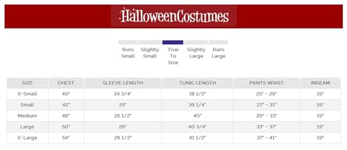 Disney's Beauty and the Beast Cogsworth Costume Adult