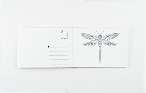 Enchanted Forest Postcards: 20 Postcards