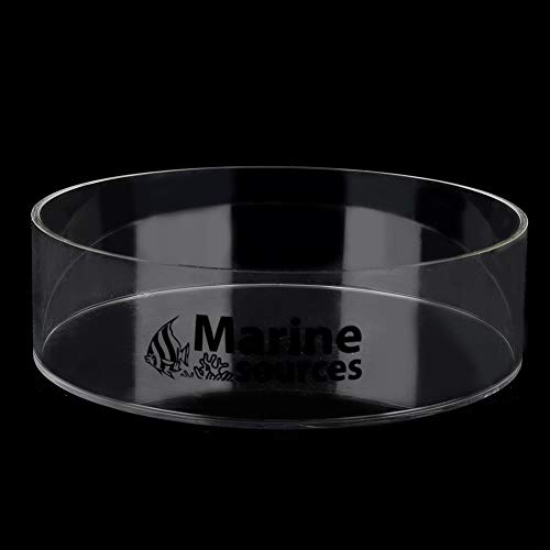Coral Viewer Fish Tank Acrylic Coral Observe Lense Aquarium Fish Photograph Cylinder Magnifier For Viewing Coral And Taking Pictures 150Mm #TOP6