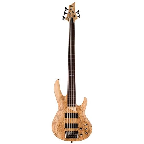 ESP LTD B-205SM FL Fretless Spalted Maple 5-String Bass Guitar, Natural Satin