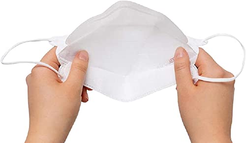 AIRQUEEN Air Queen 3-Layer Nano-Filter Face Mask for Adults, Breathable Face Mask, Reusable Face Mask