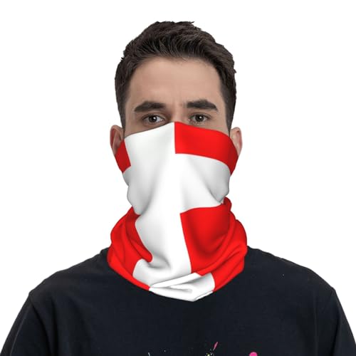 Gargantilla con Estampado de Bandera Danesa para Hombres y Mujeres, Máscara Facial Elástica Versátil, Balaclava Impresa Blanco miniatura 5