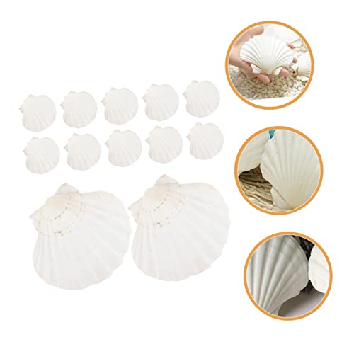 Manualidades, Toy manualidades del plato del buen comer Marca OKUMEYR (2)