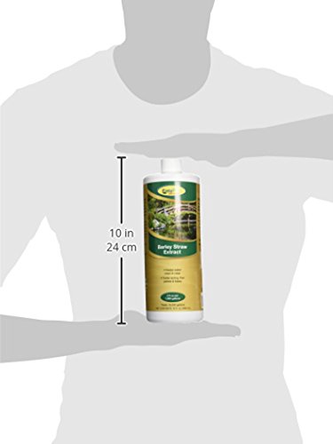 Image of EasyPro BSE32 Liquid Barley Extract. Natural Formula for Ponds - 32 oz | All natural liquid barley formula releases humic acids. 32 oz. treats 16,000 gal of pond water. Safe for aquatic life & pets