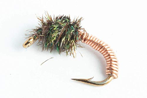 Blue Wing Olive Brassie Nymph Fly, 6 Pack (#18)