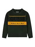 guess
