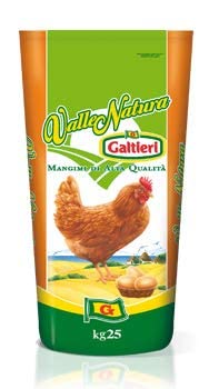 Torna A Galla Gino Galli: Il Futurista Dimenticato - Foto 9