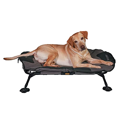 Momarsh Elevated Dog Cot With Washable Soft Pad & Folding Frame For Travel & Home Use| All In One Pet Bed Cot System For Dogs #TOP3