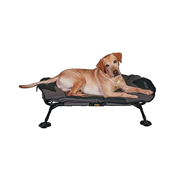 Momarsh-Elevated-Dog-Cot-with-Washable-Soft-Pad-Folding-Frame-for-Travel-Home-Use-All-in-One-Pet-Bed-Cot-System-for-Dogs Momarsh Elevated Dog Cot: Ultimate Bed for Pets