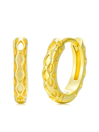 14K Gold Hoop Earrings for Women Hypoallergenic Lightweight Gold Huggie Hoop Earring Jewelry Gift
