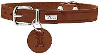 Hunter 66058 Obroża, 38-47cm, Cognac