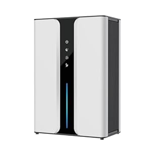 Overly Dehumidifier with Air Reusable Filter，Dual-core digital display negative ion generator, operating silently while delivering powerful air purification performance