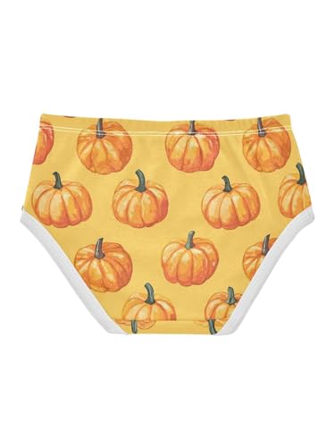 ZZKKO Orange Pumpkins Harvest Girls Underwear Toddler Panties for Girls Comfort Brief Size 2-8T2