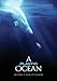 A Plastic Ocean