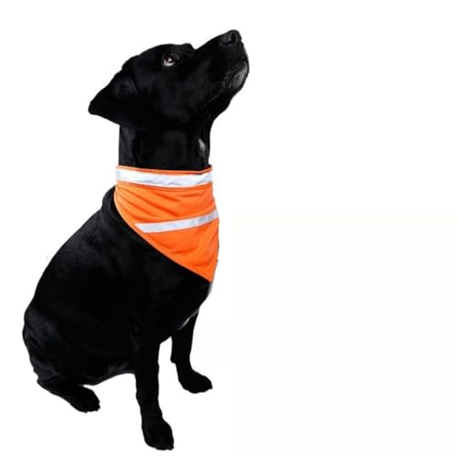 Consejos para Comprar Franjas Naranjas para comprar hoy. 17 Imagen adicional